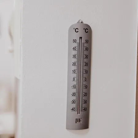 Central Nest Daire Tiran