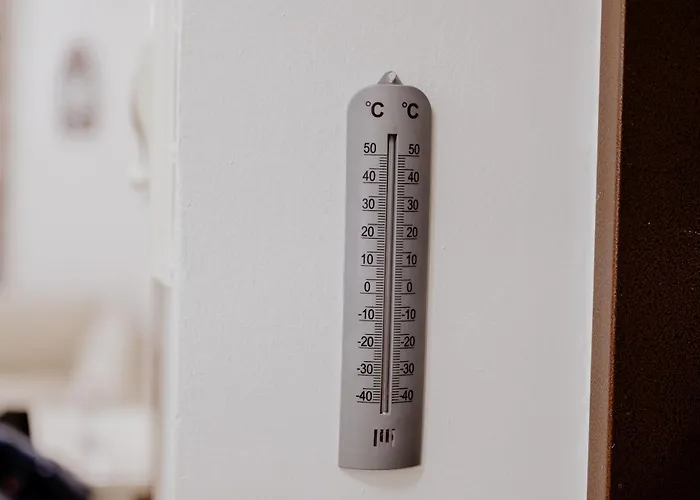 Central Nest Daire Tiran